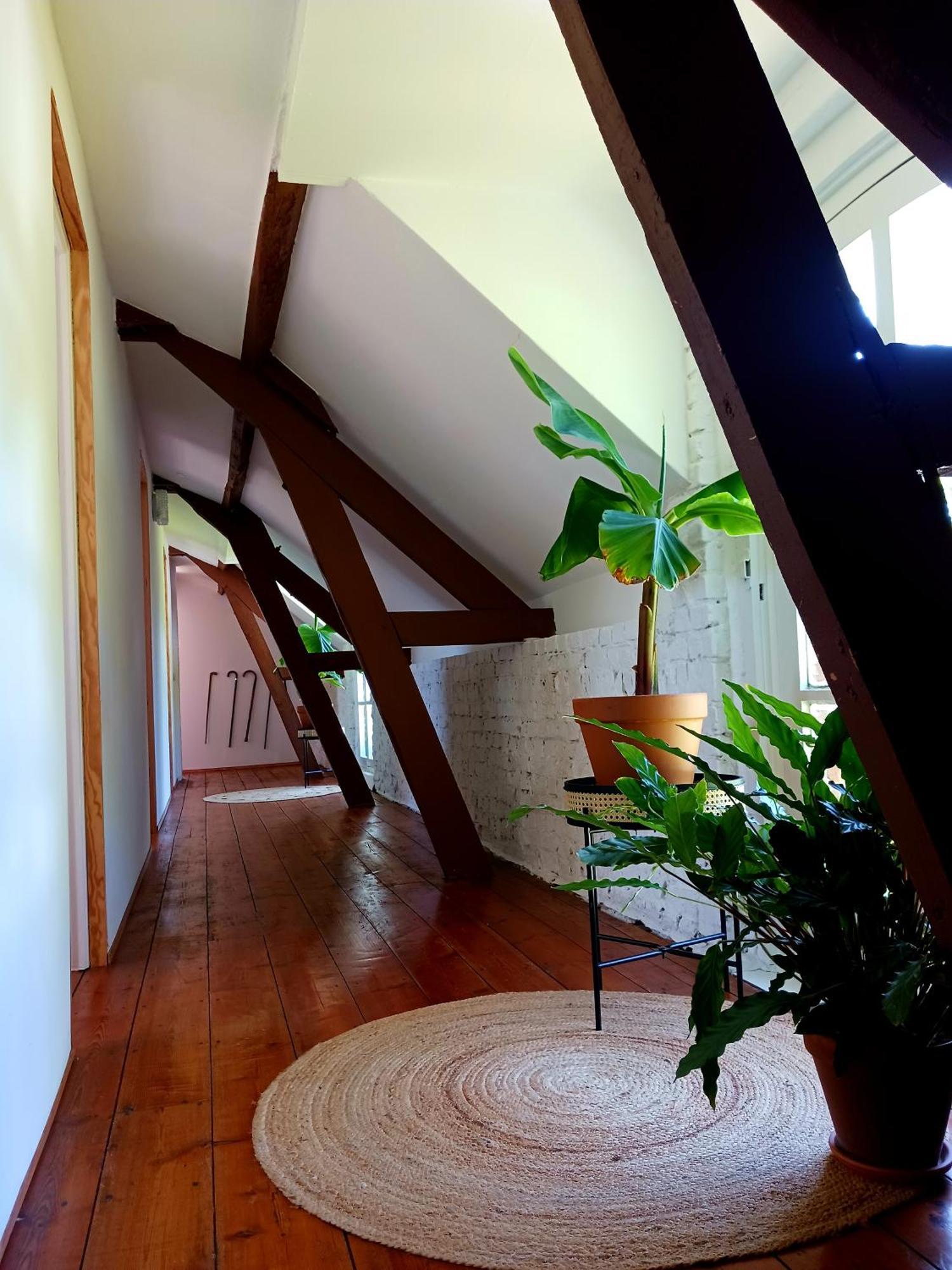 Chateau Machiel Esterno foto